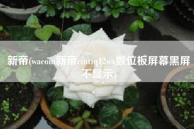 详细阅读:新帝(wacom新帝cintiq12wx数位板屏幕黑屏不显示) 新帝(wacom新帝cintiq12wx数位板屏幕黑屏不显示)