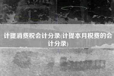 详细阅读:计提消费税会计分录(计提本月税费的会计分录) 计提消费税会计分录(计提本月税费的会计分录)