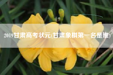 详细阅读:2019甘肃高考状元(甘肃象棋第一名是谁) 2019甘肃高考状元(甘肃象棋第一名是谁)