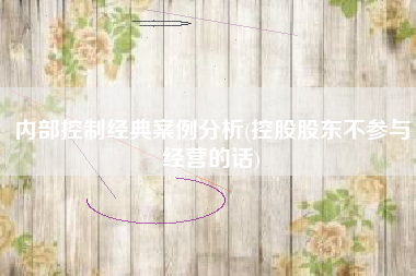 详细阅读:内部控制经典案例分析(控股股东不参与经营的话) 内部控制经典案例分析(控股股东不参与经营的话)