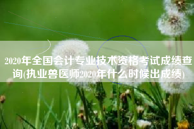 详细阅读:2020年全国会计专业技术资格考试成绩查询(执业兽医师2020年什么时候出成绩) 2020年全国会计专业技术资格考试成绩查询(执业兽医师2020年什么时候出成绩)
