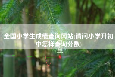 详细阅读:全国小学生成绩查询网站(请问小学升初中怎样查询分数) 全国小学生成绩查询网站(请问小学升初中怎样查询分数)