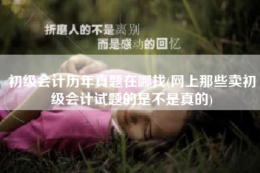详细阅读:初级会计历年真题在哪找(网上那些卖初级会计试题的是不是真的) 初级会计历年真题在哪找(网上那些卖初级会计试题的是不是真的)