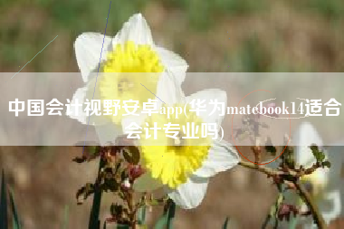 详细阅读:中国会计视野安卓app(华为matebook14适合会计专业吗) 中国会计视野安卓app(华为matebook14适合会计专业吗)