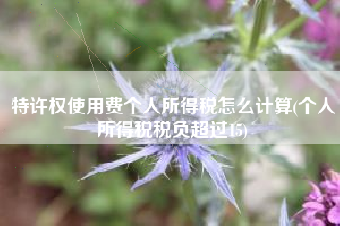 详细阅读:特许权使用费个人所得税怎么计算(个人所得税税负超过15) 特许权使用费个人所得税怎么计算(个人所得税税负超过15)
