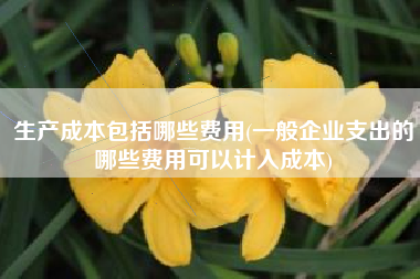 详细阅读:生产成本包括哪些费用(一般企业支出的哪些费用可以计入成本) 生产成本包括哪些费用(一般企业支出的哪些费用可以计入成本)