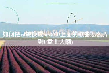 详细阅读:如何把cd转换成mp3(CD上面的歌曲怎么弄到U盘上去啊) 如何把cd转换成mp3(CD上面的歌曲怎么弄到U盘上去啊)