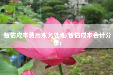 详细阅读:暂估成本费用账务处理(暂估成本会计分录) 暂估成本费用账务处理(暂估成本会计分录)