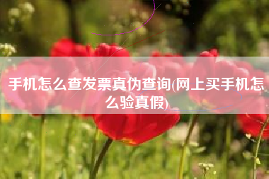 详细阅读:手机怎么查发票真伪查询(网上买手机怎么验真假) 手机怎么查发票真伪查询(网上买手机怎么验真假)