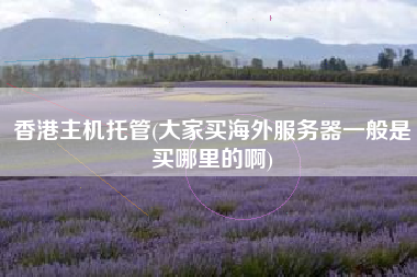 详细阅读:香港主机托管(大家买海外服务器一般是买哪里的啊) 香港主机托管(大家买海外服务器一般是买哪里的啊)