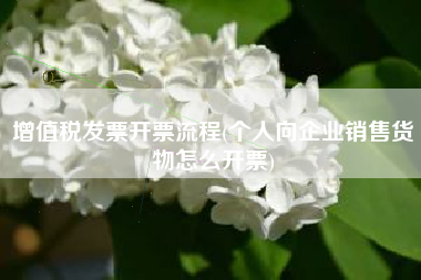 详细阅读:增值税发票开票流程(个人向企业销售货物怎么开票) 增值税发票开票流程(个人向企业销售货物怎么开票)