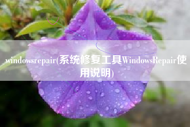 windowsrepair(系统修复工具WindowsRepair使用说明)