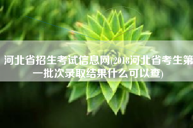 河北省招生考试信息网(2018河北省考生第一批次录取结果什么可以查)
