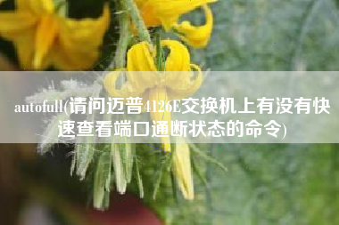 autofull(请问迈普4126E交换机上有没有快速查看端口通断状态的命令)