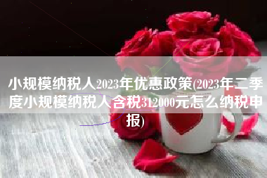 小规模纳税人2023年优惠政策(2023年二季度小规模纳税人含税312000元怎么纳税申报)