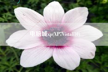 电脑城xp(XP7Vista810)