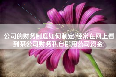 公司的财务制度如何制定(经常在网上看到某公司财务私自挪用公司资金)
