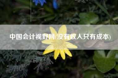 详细阅读:中国会计视野网(没有收入只有成本) 中国会计视野网(没有收入只有成本)