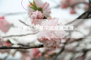 详细阅读:贝塞尔(贝塞尔滤波器原理) 贝塞尔(贝塞尔滤波器原理)