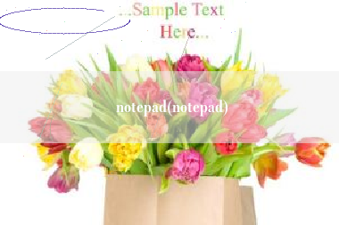 详细阅读:notepad(notepad) notepad(notepad)
