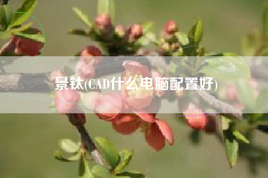 详细阅读:景钛(CAD什么电脑配置好) 景钛(CAD什么电脑配置好)