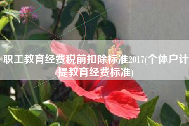 详细阅读:职工教育经费税前扣除标准2017(个体户计提教育经费标准) 职工教育经费税前扣除标准2017(个体户计提教育经费标准)