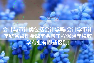详细阅读:会计与审计类包括会计学吗(会计学审计学财务管理金融学金融工程保险学税收学专业有哪些区别) 会计与审计类包括会计学吗(会计学审计学财务管理金融学金融工程保险学税收学专业有哪些区别)