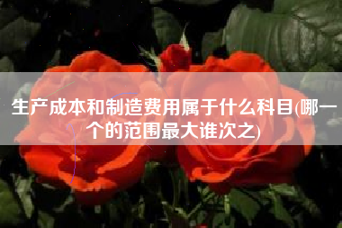 详细阅读:生产成本和制造费用属于什么科目(哪一个的范围最大谁次之) 生产成本和制造费用属于什么科目(哪一个的范围最大谁次之)