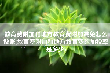 详细阅读:教育费附加和地方教育费附加减免怎么做账(教育费附加和地方教育费附加税率是多少) 教育费附加和地方教育费附加减免怎么做账(教育费附加和地方教育费附加税率是多少)