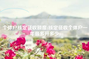 详细阅读:个体户核定征收额度(核定征收个体户一年最多开多少) 个体户核定征收额度(核定征收个体户一年最多开多少)