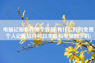 详细阅读:电脑记账软件哪个好用(有什么好的免费个人记账软件可以手机和电脑同步的) 电脑记账软件哪个好用(有什么好的免费个人记账软件可以手机和电脑同步的)