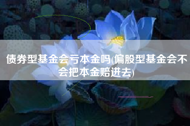 详细阅读:债券型基金会亏本金吗(偏股型基金会不会把本金赔进去) 债券型基金会亏本金吗(偏股型基金会不会把本金赔进去)