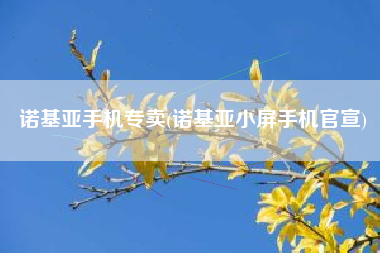 详细阅读:诺基亚手机专卖(诺基亚小屏手机官宣) 诺基亚手机专卖(诺基亚小屏手机官宣)