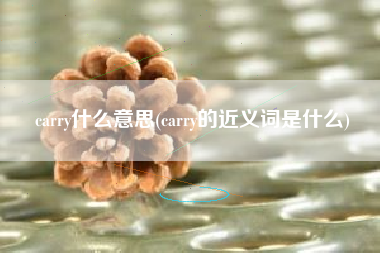 详细阅读:carry什么意思(carry的近义词是什么) carry什么意思(carry的近义词是什么)