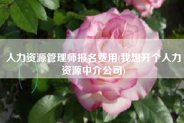 详细阅读:人力资源管理师报名费用(我想开个人力资源中介公司) 人力资源管理师报名费用(我想开个人力资源中介公司)