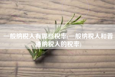 详细阅读:一般纳税人有哪些税率(一般纳税人和普通纳税人的税率) 一般纳税人有哪些税率(一般纳税人和普通纳税人的税率)