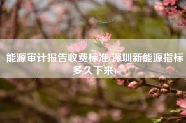 详细阅读:能源审计报告收费标准(深圳新能源指标多久下来) 能源审计报告收费标准(深圳新能源指标多久下来)