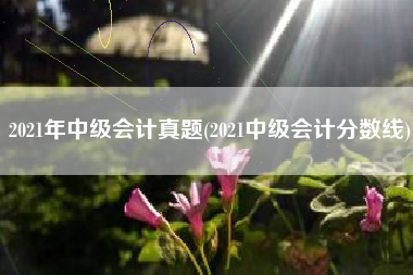 详细阅读:2021年中级会计真题(2021中级会计分数线) 2021年中级会计真题(2021中级会计分数线)