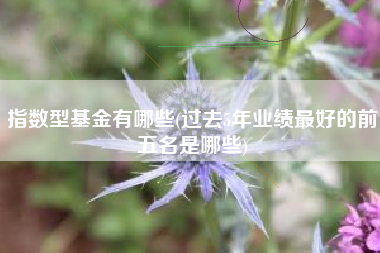 详细阅读:指数型基金有哪些(过去5年业绩最好的前五名是哪些) 指数型基金有哪些(过去5年业绩最好的前五名是哪些)