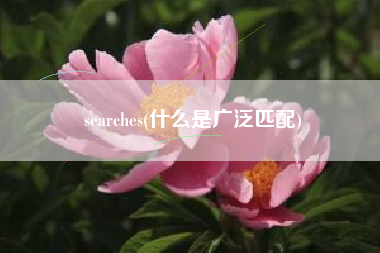 详细阅读:searches(什么是广泛匹配) searches(什么是广泛匹配)