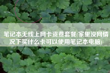 笔记本无线上网卡资费套餐(家里没网情况下买什么卡可以使用笔记本电脑)
