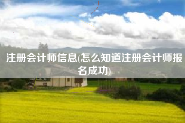 注册会计师信息(怎么知道注册会计师报名成功)