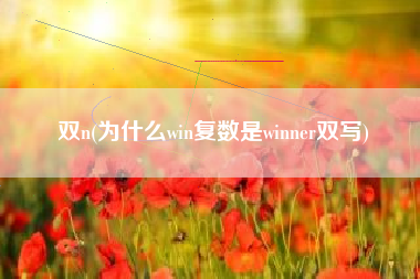 双n(为什么win复数是winner双写)