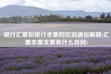 银行汇票和银行本票的区别通俗解释(汇票本票支票有什么异同)