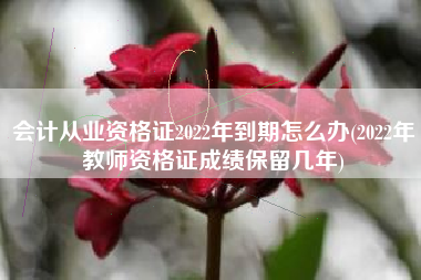 会计从业资格证2022年到期怎么办(2022年教师资格证成绩保留几年)