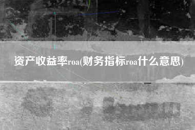 资产收益率roa(财务指标roa什么意思)