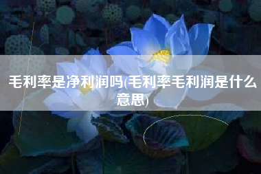 毛利率是净利润吗(毛利率毛利润是什么意思)