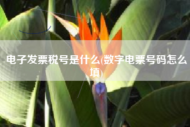 电子发票税号是什么(数字电票号码怎么填)