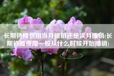 长期待摊费用当月摊销还是次月摊销(长期待摊费用一般从什么时候开始摊销)