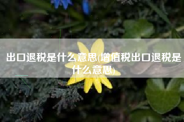 出口退税是什么意思(增值税出口退税是什么意思)